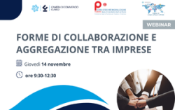 Forme di collaborazione e aggregazione tra le imprese