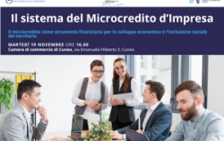 Il sistema del Microcredito d'Impresa. Il microcredito come strumento finanziario per lo sviluppo economico e l'inclusione sociale del territorio