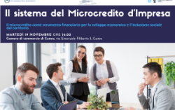 Il sistema del Microcredito d'Impresa. Il microcredito come strumento finanziario per lo sviluppo economico e l'inclusione sociale del territorio