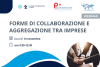 Forme di collaborazione e aggregazione tra le imprese